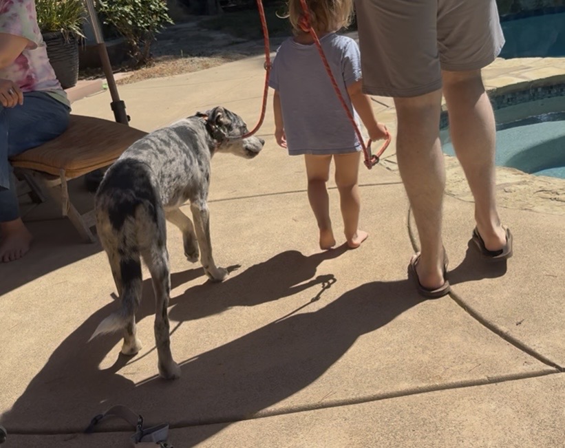 Arlo walking with Nora and Andrew during everyday family life